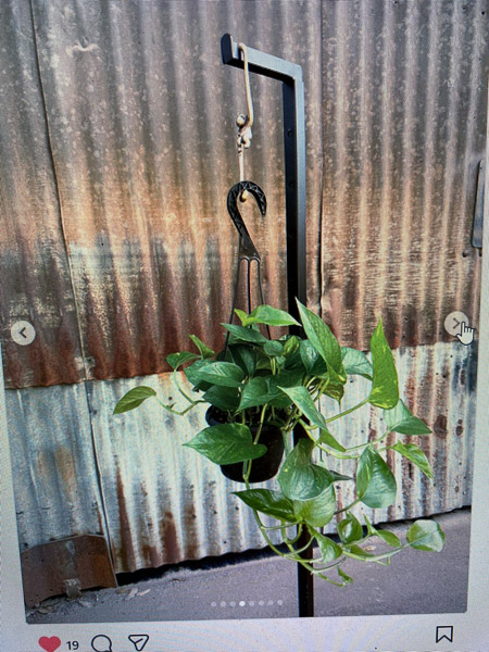 Italian Dinner Raffle Item